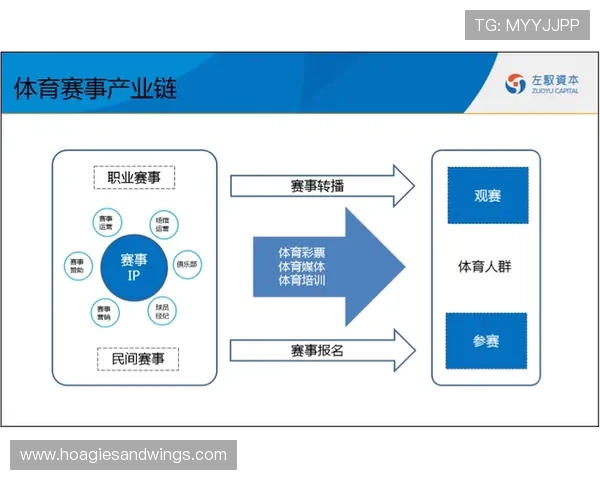 海星体育登陆战略布局助力体育产业链全面升级