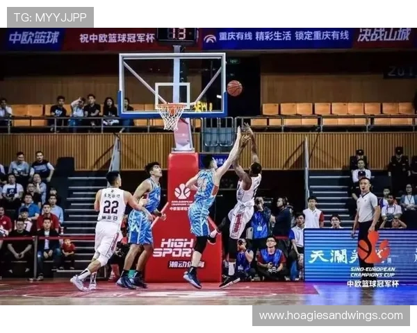 中欧体育登录入口网页版最新指南帮助用户顺利进入官方平台体验体育赛事直播