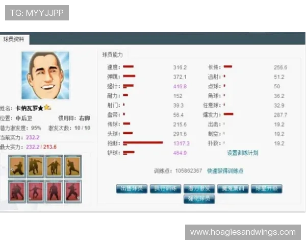 国际买球正规网站排名前十，帮助用户找到安全可靠的线上投注平台的实用指南